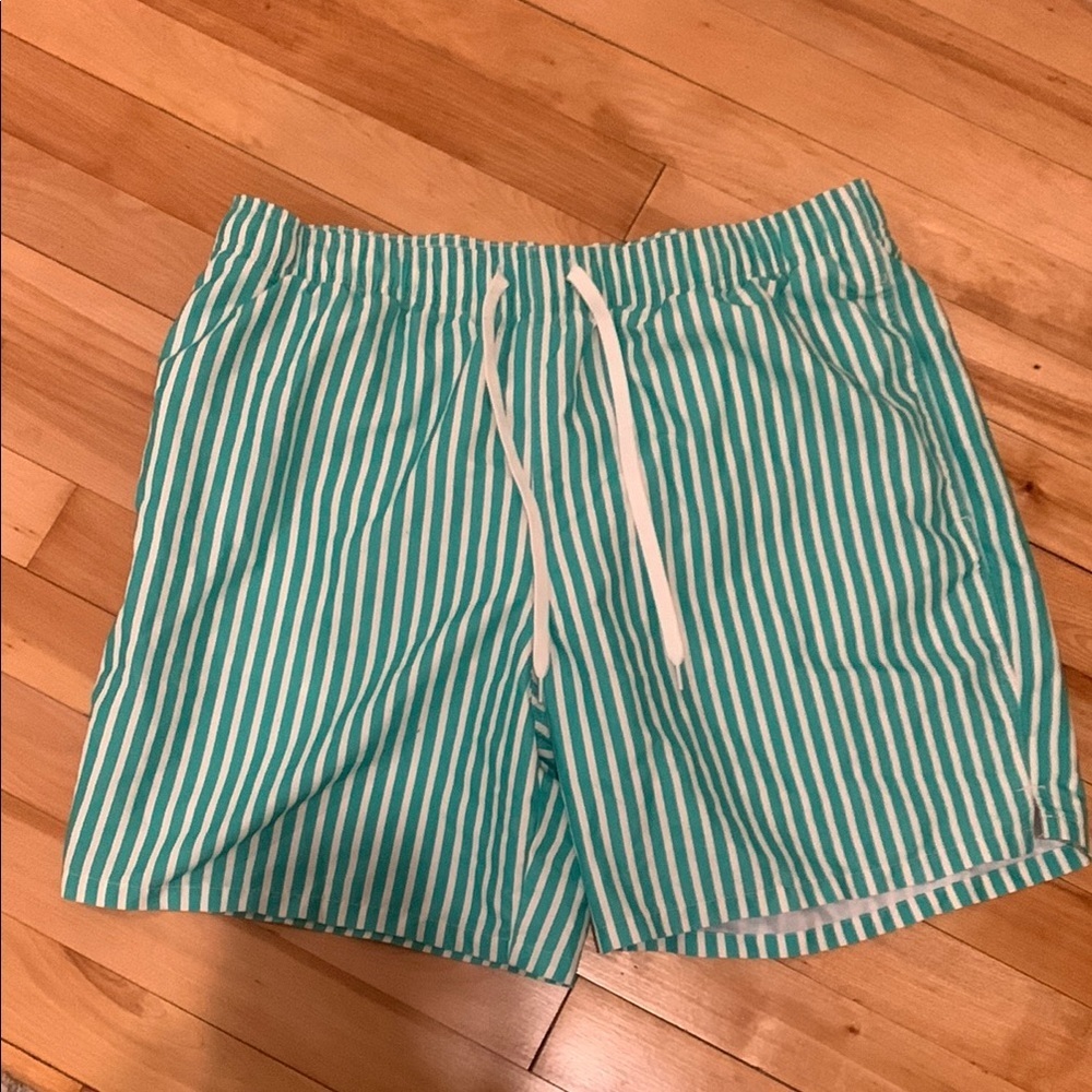Green and White Striped Men Bathing Suit